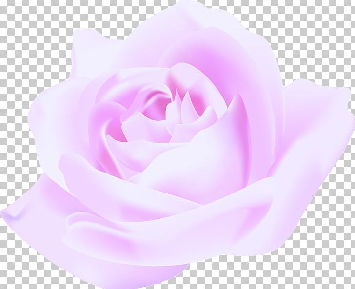 Flower Pink Violet Magenta PNG, Clipart, Beige, Closeup, Color, Flower, Flowering Plant Free PNG Download