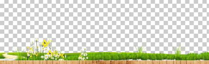 Lawn Wheatgrass Land Lot Energy PNG, Clipart, Commodity, Computer, Computer Wallpaper, Decoration, Energy Free PNG Download