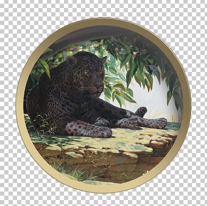 Painting Artist Leopard Guy Coheleach's Animal Art PNG, Clipart,  Free PNG Download