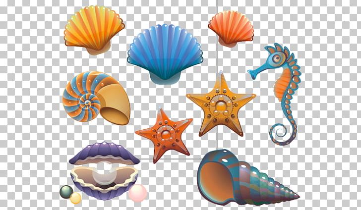 Seashell Mollusc Shell Drawing Illustration PNG, Clipart, Animals, Beautiful Starfish, Cartoon, Cartoon Starfish, Conch Free PNG Download