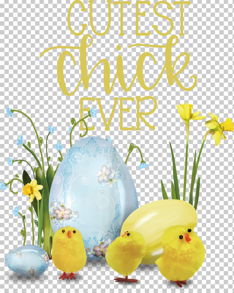 Happy Easter Cutest Chick Ever PNG, Clipart, Easter Basket, Easter Bunny, Easter Egg, Easter Parade, Easter Postcard Free PNG Download