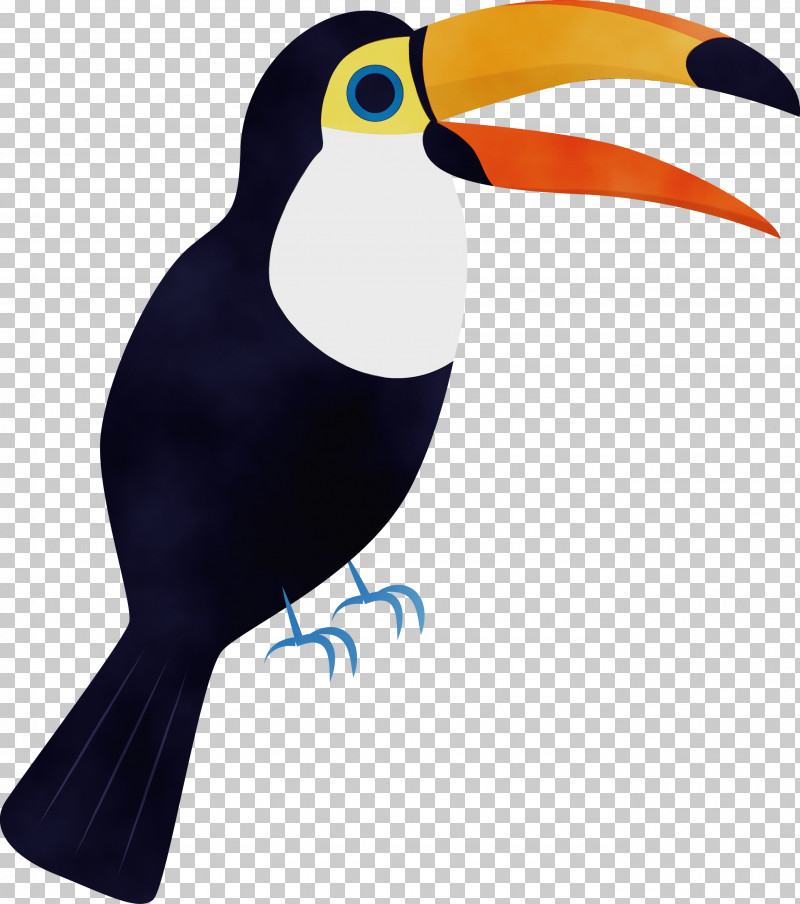 Toucans Beak PNG, Clipart, Beak, Cartoon Bird, Cute Bird, Paint, Toucans Free PNG Download