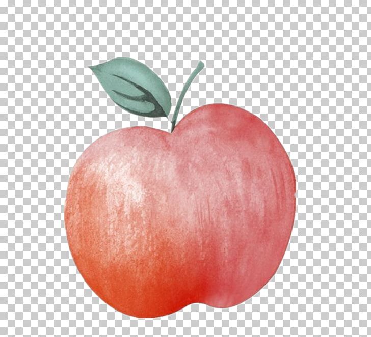 Apple Illustrator Illustration PNG, Clipart, Adobe Illustrator, Apple, Apple Fruit, Big, Big Apple Free PNG Download