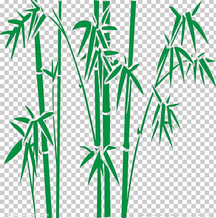 Bamboo PNG, Clipart, Adobe Illustrator, Bamboo Frame, Bamboo Leaf, Bamboo Leaves, Bamboo Tree Free PNG Download