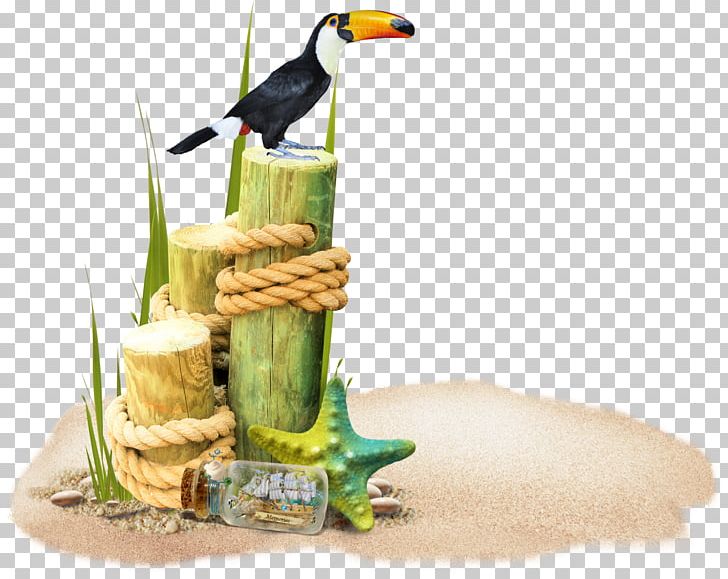 Beach PNG, Clipart, Beach, Bird, Computer Icons, Download, Fauna Free PNG Download