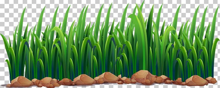 Pond Ecosystem Illustration PNG, Clipart, Art, Background Green, Commodity, Download, Ecosystem Free PNG Download