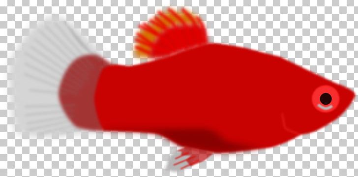 Fish PNG, Clipart, Computer Icons, Download, Fish, Graphic Design, Others Free PNG Download