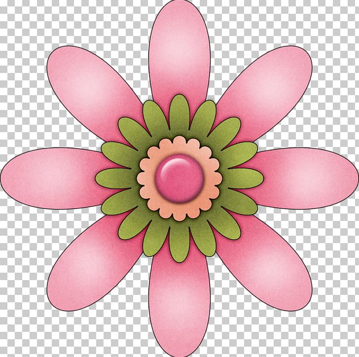 Pink M RTV Pink PNG, Clipart, Bohemian, Flower, Flowering Plant, Others, Petal Free PNG Download