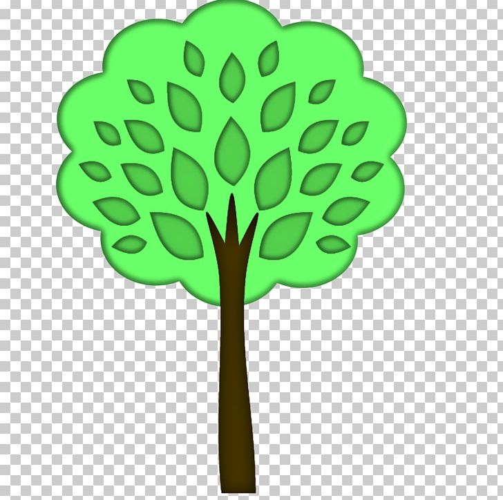 Woody Plant Tree Plant Stem PNG, Clipart, Flora, Flower, Flowering Plant, Food Drinks, Green Free PNG Download