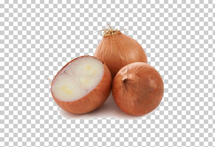 Yellow Onion Shallot Red Onion Vegetable PNG, Clipart, Adobe Illustrator, Download, Encapsulated Postscript, Food, Ingredient Free PNG Download