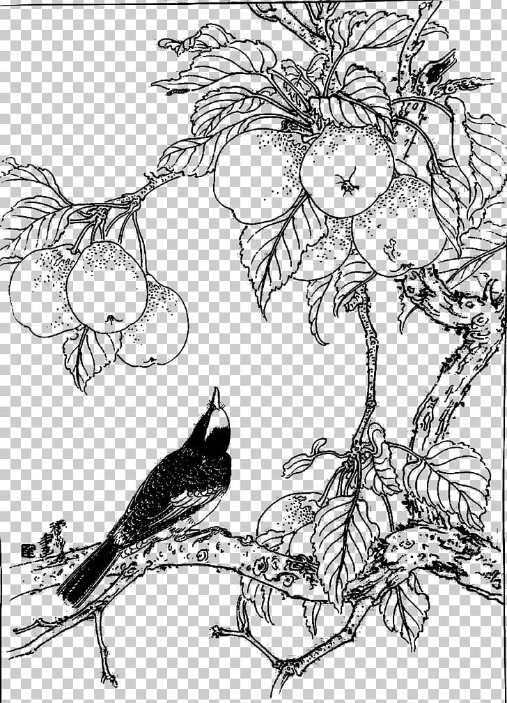 Asian Pear Visual Arts Crows Black And White PNG, Clipart, Asian Pear, Bird, Black, Branch, Cartoon Free PNG Download
