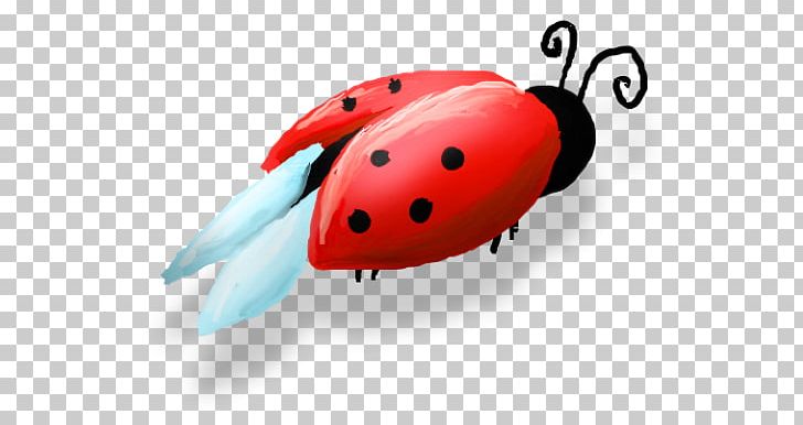 Beetle Ladybird Beneficial Insects Coccinella Septempunctata PNG, Clipart, Animals, Aphid, Arthropod, Beetle, Beneficial Insects Free PNG Download