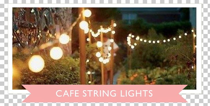 Landscape Lighting Backyard Street Light PNG, Clipart, Backyard, Ceremony, Christmas, Christmas Decoration, Christmas Ornament Free PNG Download