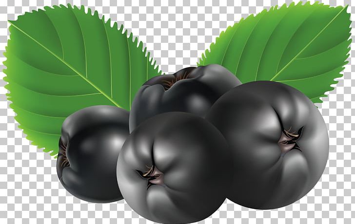 Blueberries PNG, Clipart, Blueberries Free PNG Download