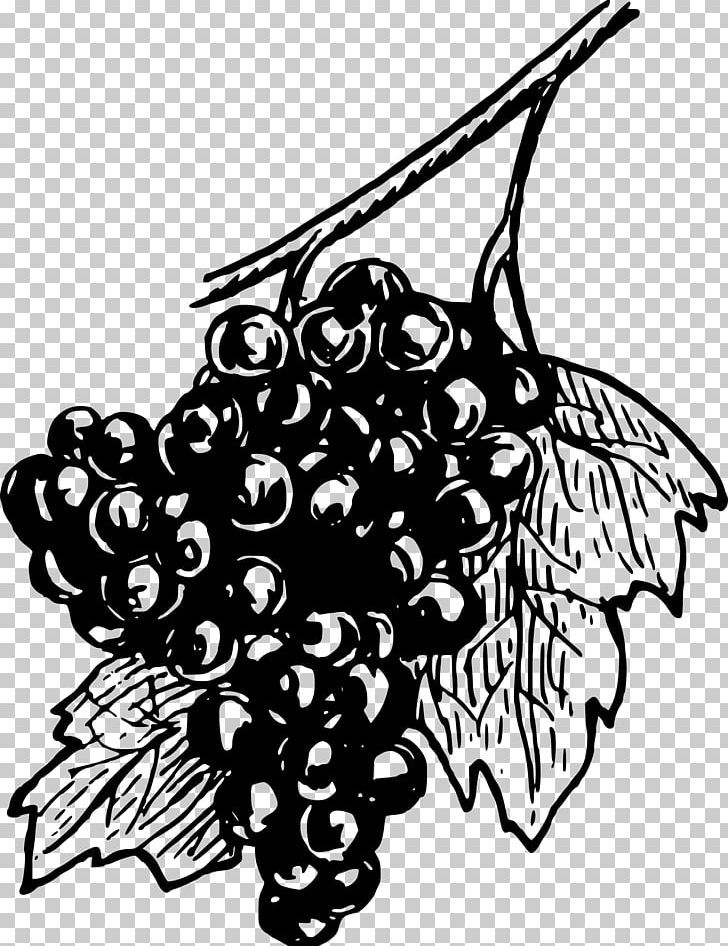 Common Grape Vine Concord Grape Wine Drawing PNG, Clipart, Art, Artwork, Berry, Black, Black And White Free PNG Download