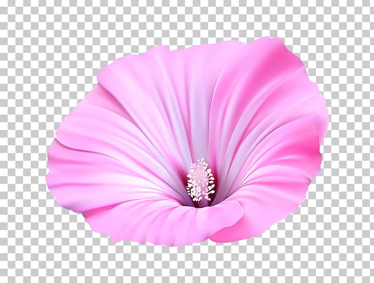 Flower Painting Petal Acrylic Paint PNG, Clipart, Acrylic Paint, Blog, Electrical Cable, Film, Fleur Free PNG Download