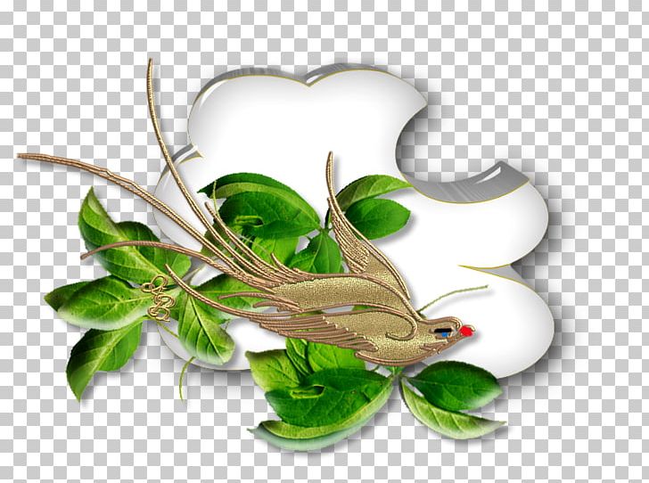 Leaf Pollinator PNG, Clipart, Leaf, Organism, Peg, Plant, Pollinator Free PNG Download