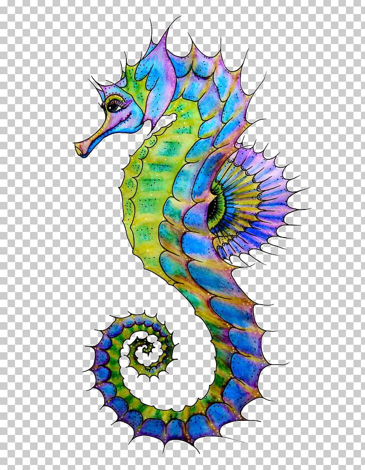 19 Creative Seahorse Drawing for All Ages - Cool Kids Crafts