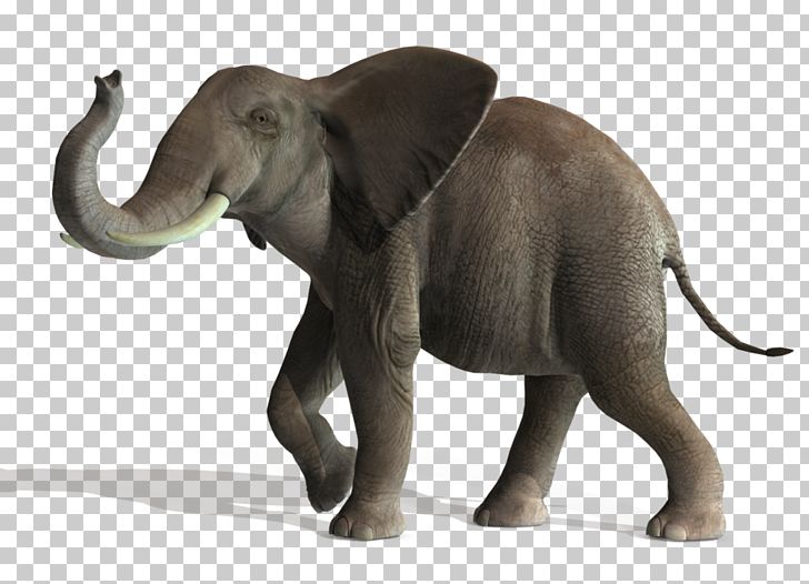 Asian Elephant Lion Art PNG, Clipart, African Elephant, Animal, Animals, Art, Asian Elephant Free PNG Download