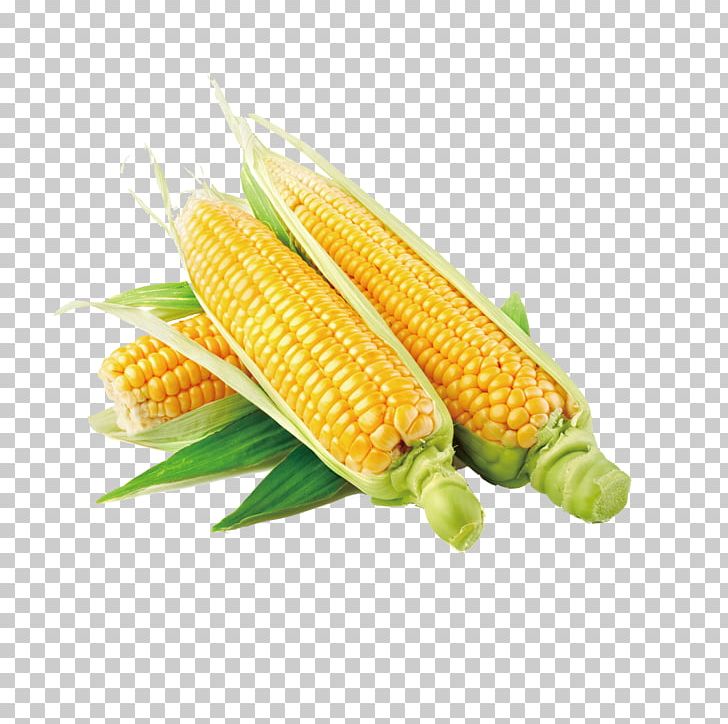 Chicha Waxy Corn Vegetable Vegetal Food PNG, Clipart, Commodity, Corn, Corn Cartoon, Corn Flakes, Corn Juice Free PNG Download