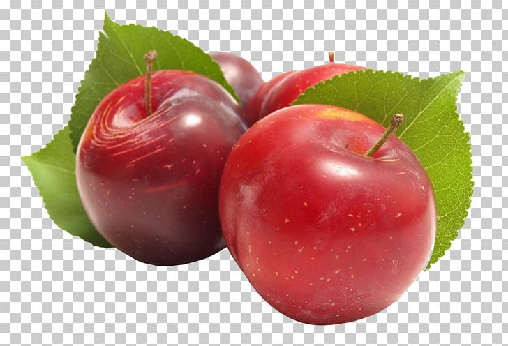 Barbados Cherry Accessory Fruit Plum Apple PNG, Clipart, Accessory Fruit, Acerola, Acerola Family, Apple, Barbados Cherry Free PNG Download