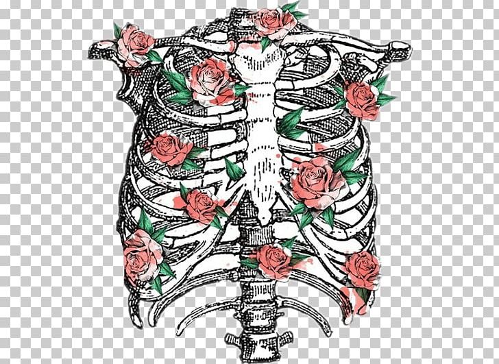 Rib Cage Human Skeleton Anatomy PNG, Clipart, Anatomy, Art, Boy King, Cage, Costume Design Free PNG Download