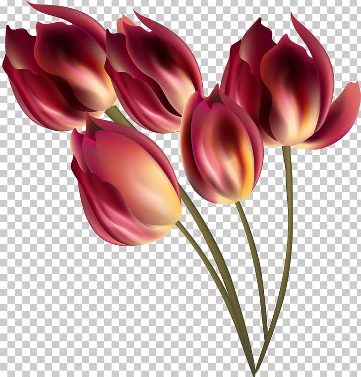 Tulip Flower Bouquet PNG, Clipart, Artificial Flower, Beautiful, Bouquet, Decorative, Dig Free PNG Download