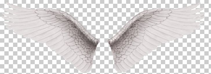 Wing White PNG, Clipart, Angel, Angel Wing, Angel Wings, Angle, Black And White Free PNG Download