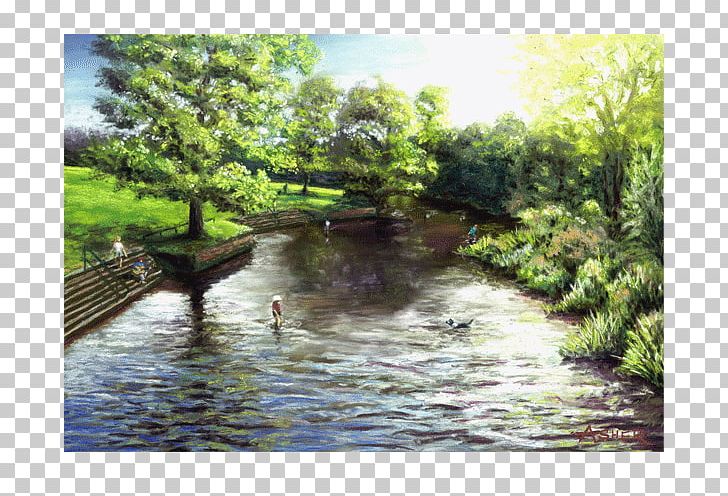 Earlham Park Fluvial Landforms Of Streams Landscape Bank PNG, Clipart, Bank, Bayou, Floodplain, Fluvial Landforms Of Streams, Grass Free PNG Download