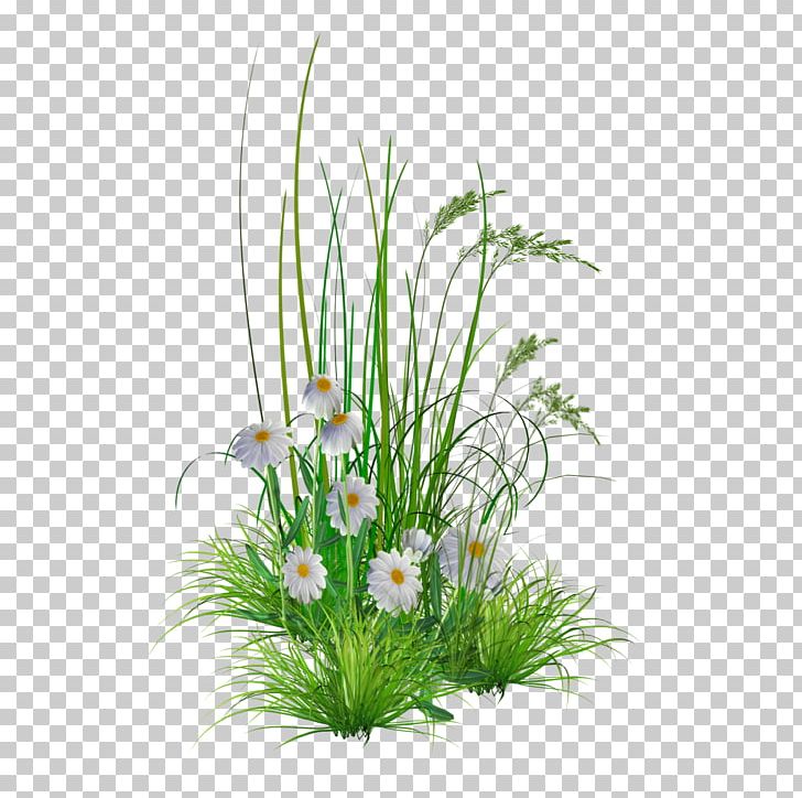 Flower Garden PNG, Clipart, Aquarium Decor, Artificial Flower, Cut Flowers, Desktop Wallpaper, Download Free PNG Download