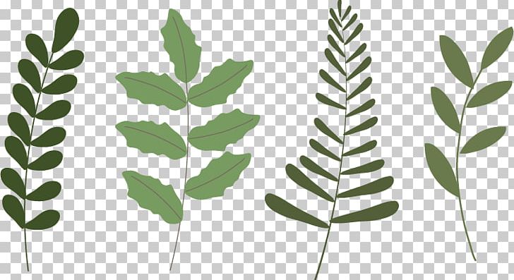 Leaf Plant Poinsettia PNG, Clipart, Branch, Branch Vector, Cartoon, Christmas Decoration, Christmas Frame Free PNG Download