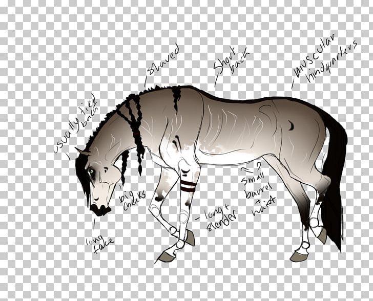 Mule Mustang Stallion Mane Halter PNG, Clipart,  Free PNG Download