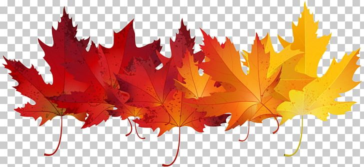 Autumn Leaf Color PNG, Clipart, Autumn, Autumn Leaf Color, Autumn Leaves, Blog, Computer Wallpaper Free PNG Download