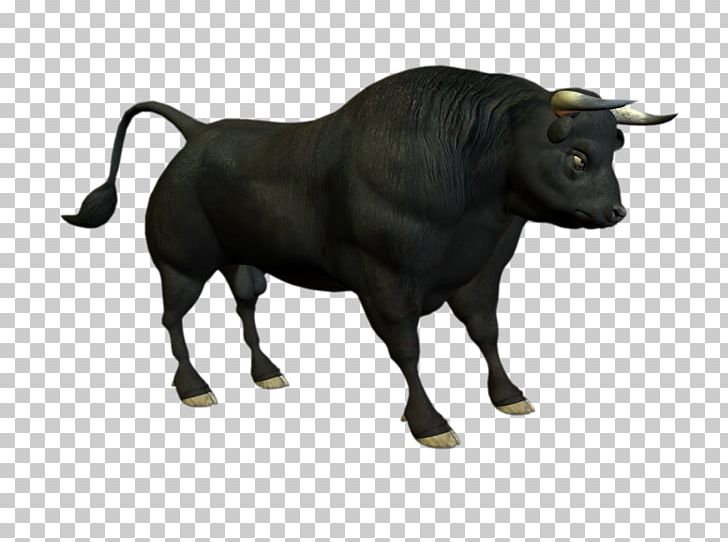 Bull Angus Cattle PNG, Clipart, Angus Cattle, Animal Figure, Animals, Bull, Cattle Free PNG Download