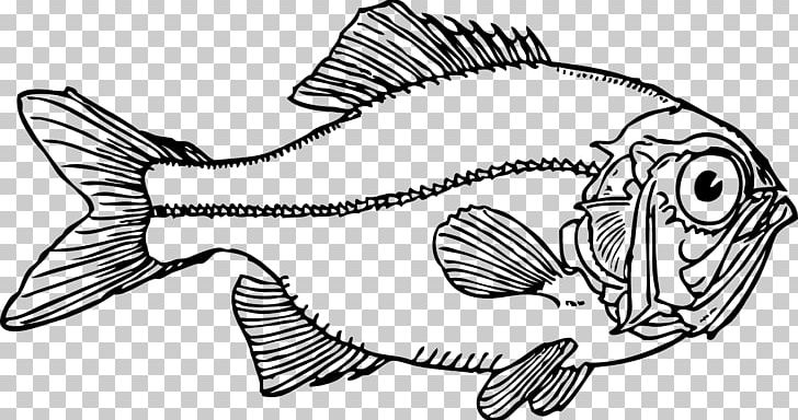 Fish Line Art PNG, Clipart, Angle, Animals, Art, Artwork, Black And White Free PNG Download