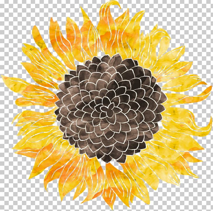 Keep Your Face To The Sunshine And You Cannot See The Shadows. Quotation Greeting & Note Cards Saying PNG, Clipart, Daisy Family, Flower, Flowering Plant, Greeting, Greeting Note Cards Free PNG Download