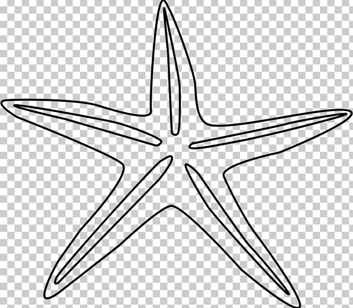 Starfish Coloring Book Line Art PNG, Clipart, Angle, Animal, Art, Black And White, Coloring Book Free PNG Download