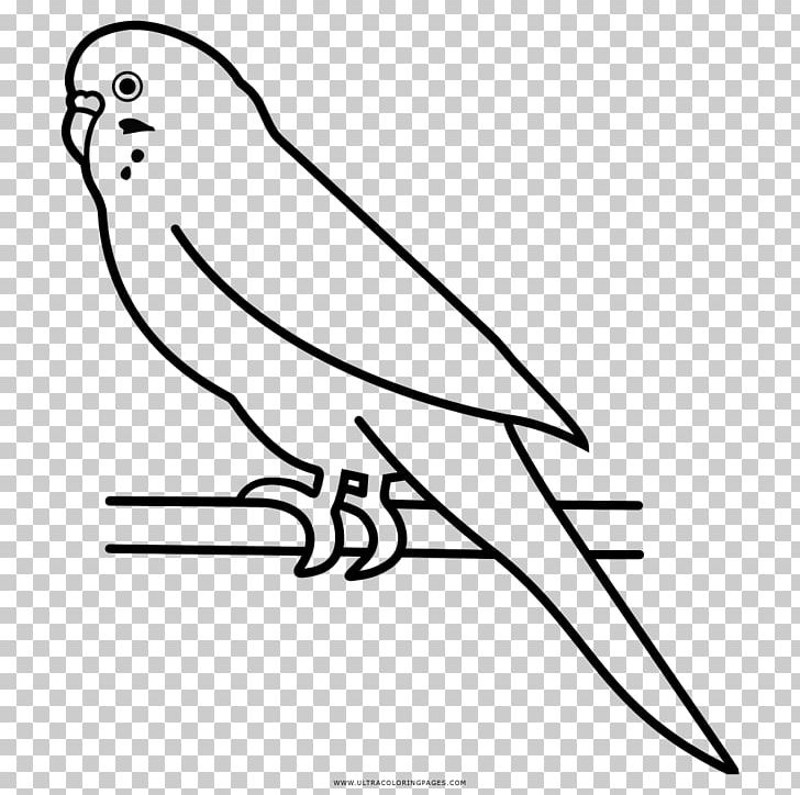 Budgerigar Parrot Bird Parakeet Pet PNG, Clipart, Angle, Animales, Animals, Area, Art Free PNG Download