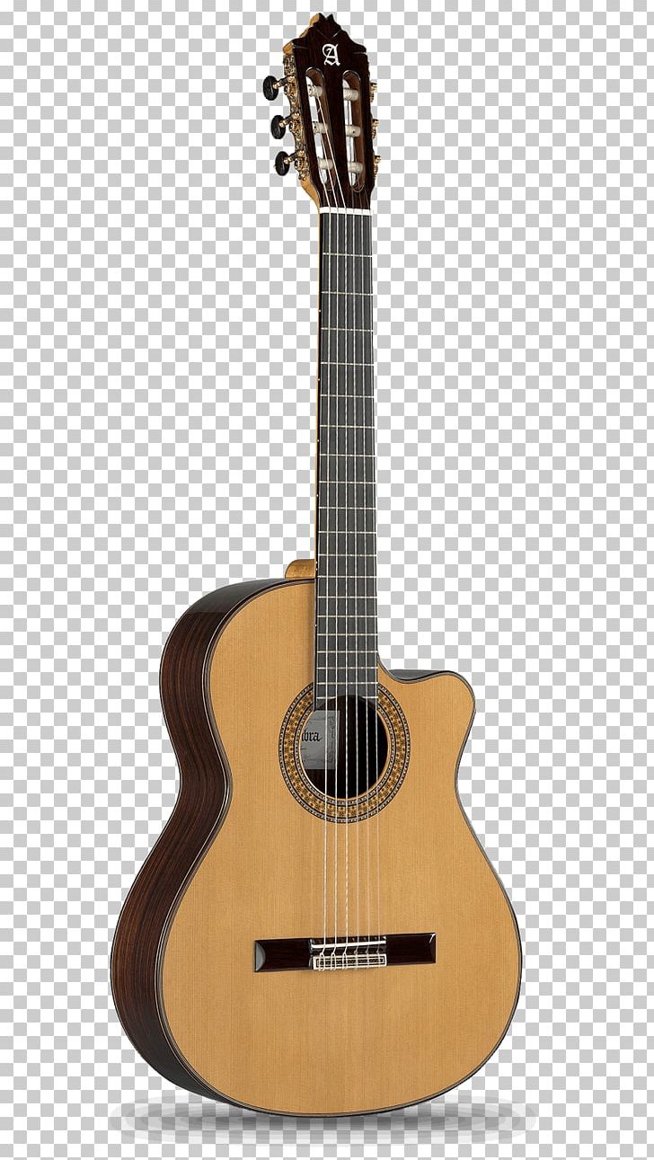 Classical Guitar Steel-string Acoustic Guitar Dreadnought Acoustic-electric Guitar PNG, Clipart, Acoustic Electric Guitar, Classical Guitar, Cuatro, Cutaway, Guitar Accessory Free PNG Download