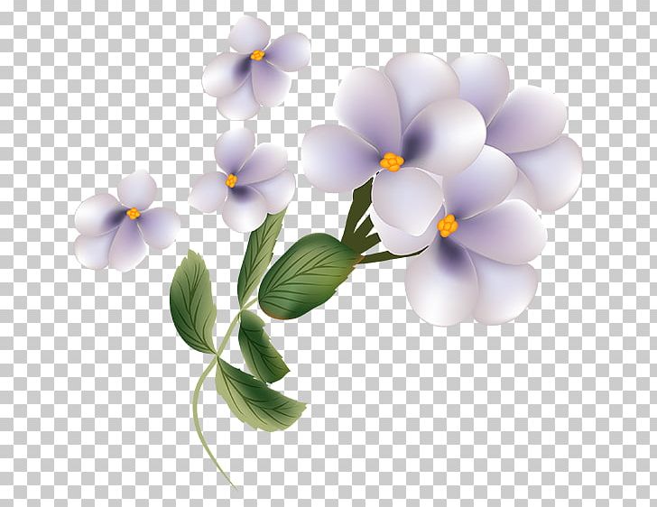 Flower Petal PNG, Clipart, Blossom, Blume, Cut Flowers, Fleur De Pivoine, Flower Free PNG Download
