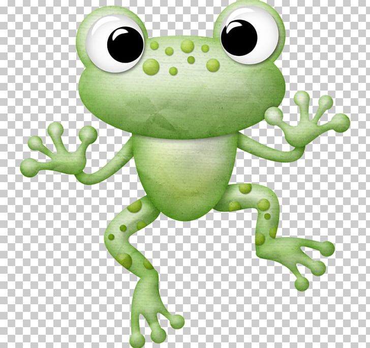 Frogs (Ranas) Cuteness Wood Frog PNG, Clipart, Amphibian, Animal, Animals, Australian Green Tree Frog, Cuteness Free PNG Download