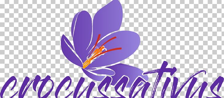 Saffron Autumn Crocus Sativum Spice Flower PNG, Clipart, Antiinflammatory, Autumn Crocus, Capsule, Com, Computer Free PNG Download
