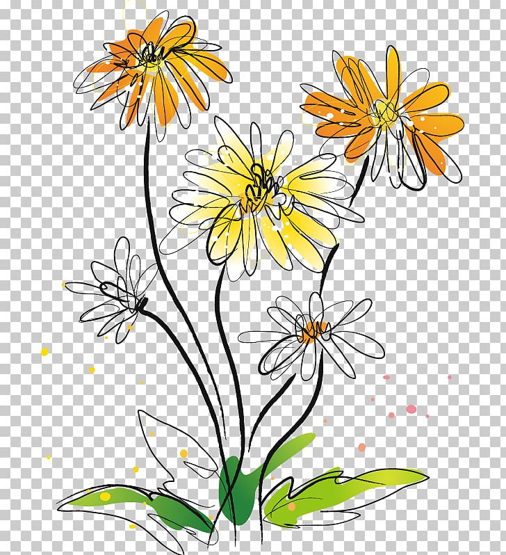 Chrysanthemum Indicum Illustration PNG, Clipart, Chrysanthemum Vector, Dahlia, Daisy Family, Encapsulated Postscript, Flower Free PNG Download