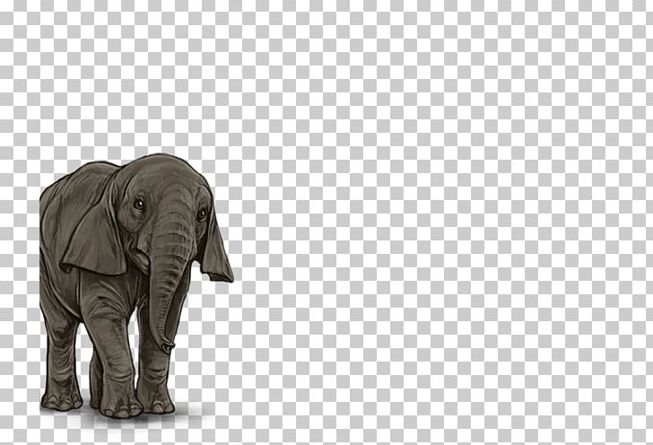 Indian Elephant African Elephant Wildlife PNG, Clipart, African Elephant, Animal, Calf, Elephant, Elephants And Mammoths Free PNG Download