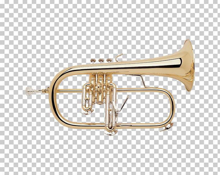 Cornet Flugelhorn Vincent Bach Corporation Trumpet Brass Instruments PNG, Clipart, Alto Horn, Bach, Brass, Brass Band, Brass Instrument Free PNG Download