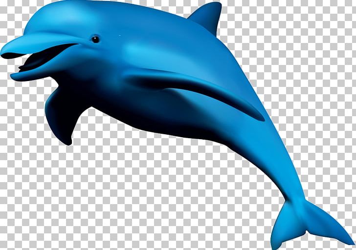 Common Bottlenose Dolphin Short-beaked Common Dolphin Wholphin Tucuxi Rough-toothed Dolphin PNG, Clipart, Animals, Blue, Bottlenose Dolphin, Cute Dolphin, Dolphine Free PNG Download