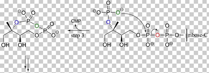 Phosphorylation Hydroxy Group Adenosine Triphosphate Ester PNG, Clipart, Alcohol, Angle, Area, Brand, Chemistry Free PNG Download