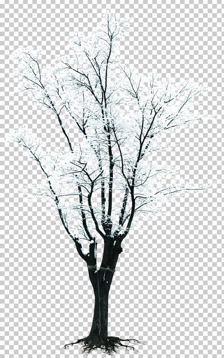 Tree Branch Winter PNG, Clipart, Adobe Illustrator, Black And White, Branch, Creative Background, Encapsulated Postscript Free PNG Download