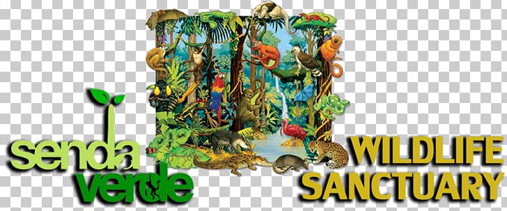 Amazon Rainforest Tropical Rainforest Drawing Biome PNG, Clipart, Abiotic Component, Amazon Rainforest, Animal, Atlantic Forest, Banner Free PNG Download