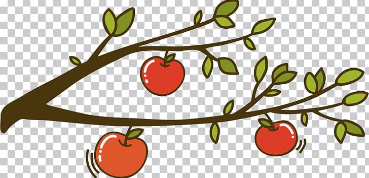 Apple Auglis PNG, Clipart, Area, Auglis, Branch, Cherry, Christmas Tree Free PNG Download